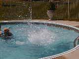 Family reunion at George s house swimming pool
